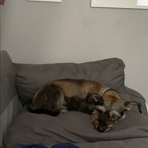 Meet your Posher, Andy